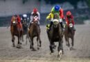 ARES ASQUIFAR y DAYDREAM CROWN triunfan en los premios clásicos para dosañeros importados ARES ASQUIFAR y DAYDREAM CROWN triunfan en los premios clásicos para dosañeros importados