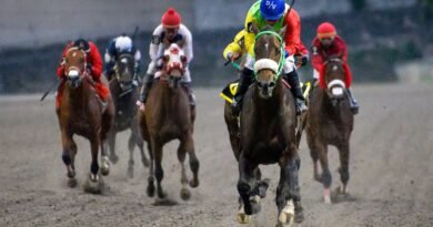 ARES ASQUIFAR y DAYDREAM CROWN triunfan en los premios clásicos para dosañeros importados