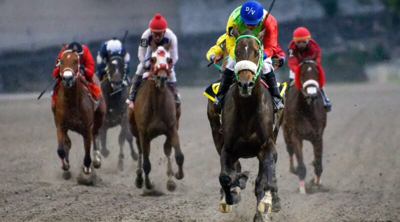 ARES ASQUIFAR y DAYDREAM CROWN triunfan en los premios clásicos para dosañeros importados