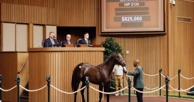 Las cifras aumentan en todos los renglones este lunes en la subasta de septiembre de Keeneland