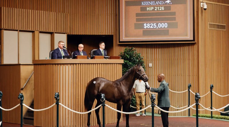 Las cifras aumentan en todos los renglones este lunes en la subasta de septiembre de Keeneland
