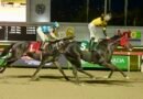 BLACK STONE pasó y ganó en el Clásico Millard Ziadie