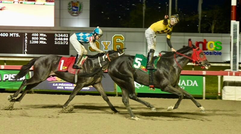 BLACK STONE pasó y ganó en el Clásico Millard Ziadie