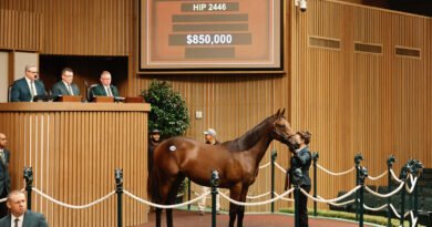 Las ventas totales aumentaron un 23,35 % el martes en Keeneland Las ventas totales aumentaron un 23,35 % el martes en Keeneland