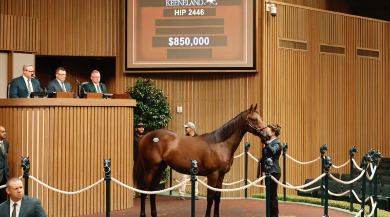 Las ventas totales aumentaron un 23,35 % el martes en Keeneland Las ventas totales aumentaron un 23,35 % el martes en Keeneland