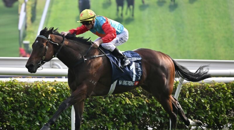 KA YIN RISING reaparece con récord KA YIN RISING reaparece con récord
