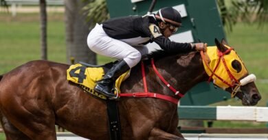 STRENGTH MONSTER galopa la Copa Luis Alfredo Wadskier