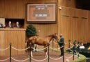 Keeneland registra aumentos en el promedio y la mediana este sábado en la venta de septiembre