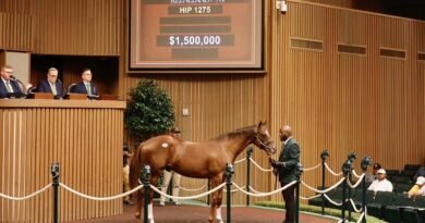 Keeneland registra aumentos en el promedio y la mediana este sábado en la venta de septiembre