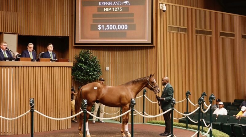 Keeneland registra aumentos en el promedio y la mediana este sábado en la venta de septiembre