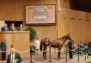 Keeneland registra un sólido volumen de ventas este domingo