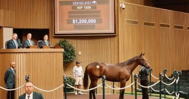 Keeneland registra un sólido volumen de ventas este domingo