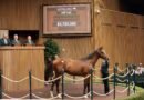 La Venta en Keeneland alcanza nuevas cotas durante la segunda jornada del martes