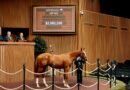 La subasta de septiembre de Keeneland registra tres yearlings vendidos por 2 millones de dólares en el cuarto día