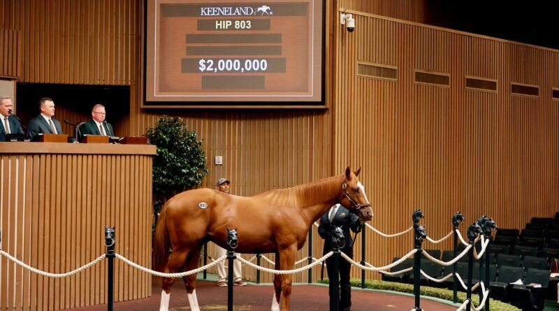 La subasta de septiembre de Keeneland registra tres yearlings vendidos por 2 millones de dólares en el cuarto día
