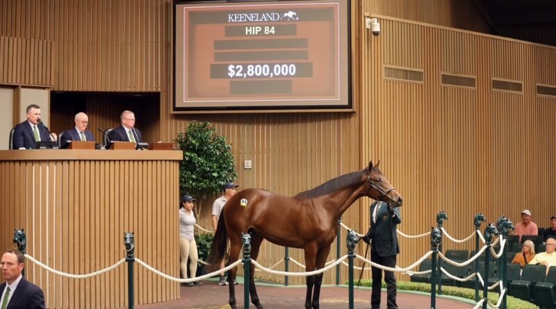 La Venta de Yearlings de septiembre de Keeneland abre con un total de $71.770.000
