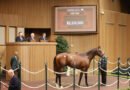 Las ventas de la subasta de septiembre de Keeneland siguen con fuerza en su tercer día
