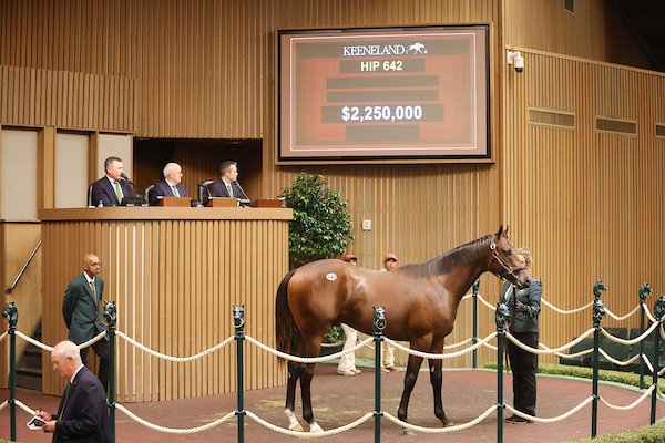 Las ventas de la subasta de septiembre de Keeneland siguen con fuerza en su tercer día