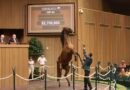 La Venta de Yearlings de septiembre de Keeneland abre con un total de $71.770.000 La Venta de Yearlings de septiembre de Keeneland abre con un total de $71.770.000