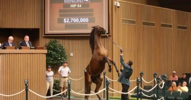 La Venta de Yearlings de septiembre de Keeneland abre con un total de $71.770.000