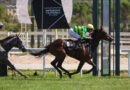 El Gran Premio Ricardo Ruiz Benítez de Lugo, gran cita del primer Domingo de Otoño