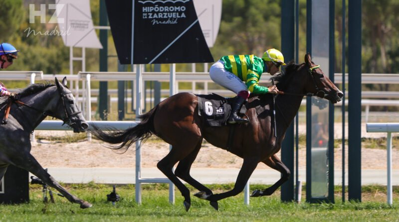 El Gran Premio Ricardo Ruiz Benítez de Lugo, gran cita del primer Domingo de Otoño