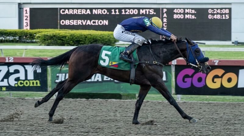 MEHEBLE carbura en el Clásico Lanzarina