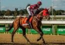 FOREVER YOUNG mantiene el liderato en el Ranking de la Breeders´ Cup Classic