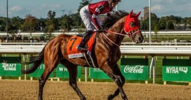 FOREVER YOUNG mantiene el liderato en el Ranking de la Breeders´ Cup Classic