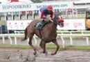 WONDER LADY sella su boleto a Puerto Rico en el Clásico Sociedad de Dueños de Caballos