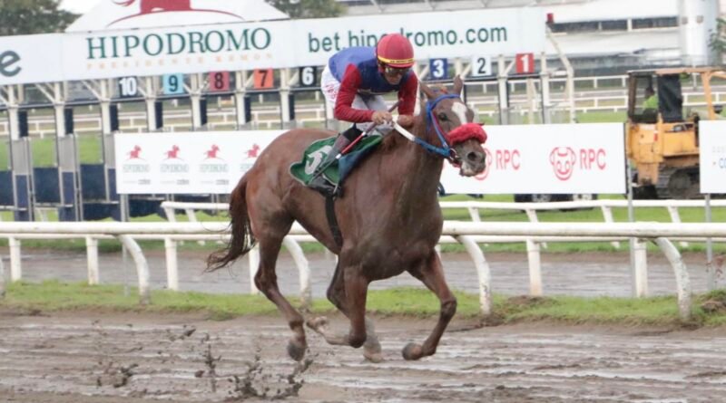WONDER LADY sella su boleto a Puerto Rico en el Clásico Sociedad de Dueños de Caballos