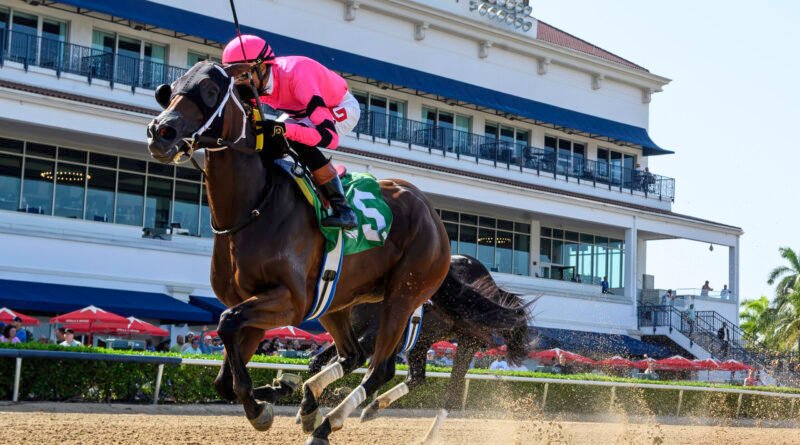 Joseph busca su cuarta victoria consecutiva en el Princess Rooney este sábado en Gulfstream