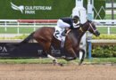 R ISLAND JEWEL brilla en el FHBPA Three Ring