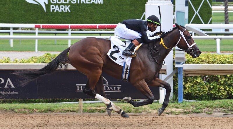 R ISLAND JEWEL brilla en el FHBPA Three Ring