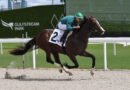 El dosañero REZA demuestra su valía en un debut deslumbrante en Gulfstream