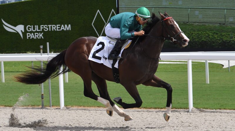 El dosañero REZA demuestra su valía en un debut deslumbrante en Gulfstream