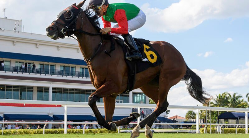 RIYADH WAY domina Hollywood Beach con fuerte remate