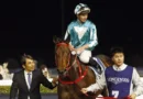 ROMANTIC WARRIOR se va dejando huella
