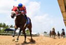 El invicto SUM OF SUCCESS encabeza el FHBPA Express Tour