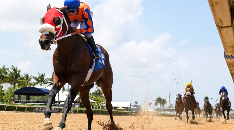 El invicto SUM OF SUCCESS encabeza el FHBPA Express Tour