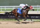 SUM OF SUCCESS mantiene su invicto en el FHBPA Express Tour