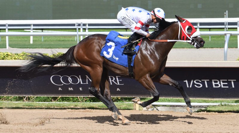 SUM OF SUCCESS mantiene su invicto en el FHBPA Express Tour