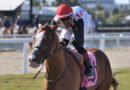 Duelo de millonarios en el Miami Mile Handicap de este sábado