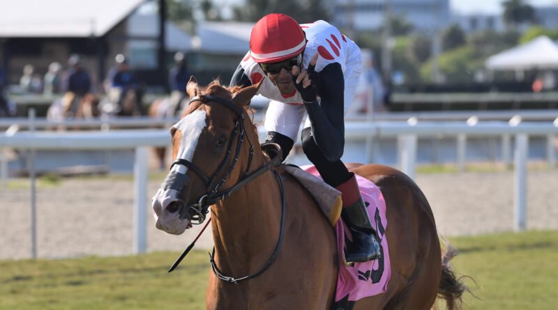 Duelo de millonarios en el Miami Mile Handicap de este sábado