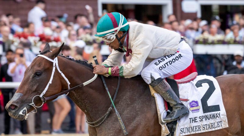 SUMMER STARLET brilla en el Spinaway Stakes