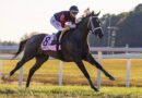 STELLIFY brilló con Flavien Prat en el Ladies Marathon de Kentucky Downs