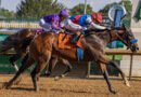 SALAHUDIN inicia con triunfo la ruta al Kentucky Derby 2027