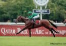DARYZ se paseó en el Prix Foy y apunta nuevamente al Arco