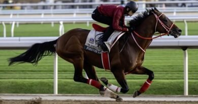 FOREVER YOUNG llega anticipadamente a EE.UU. para la Jockey Club Gold Cup