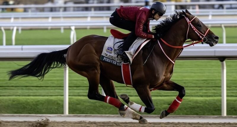 FOREVER YOUNG llega anticipadamente a EE.UU. para la Jockey Club Gold Cup